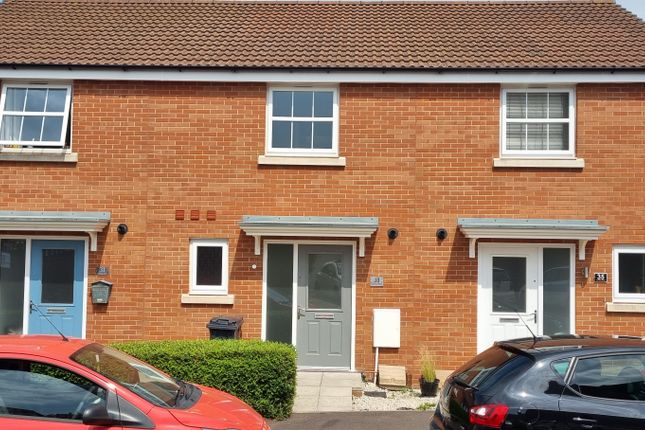 Thumbnail Terraced house to rent in Lavinia Way, Bridgwater