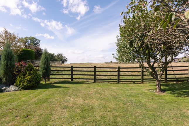 Detached house for sale in Loop Road, Keyston, Cambridgeshire