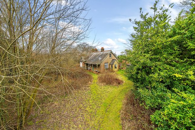 Bungalow for sale in Petersfield Road, Monkwood, Alresford, Hampshire