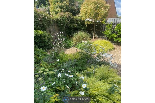 Marsh Lane, Addlestone, Addlestone photo 3