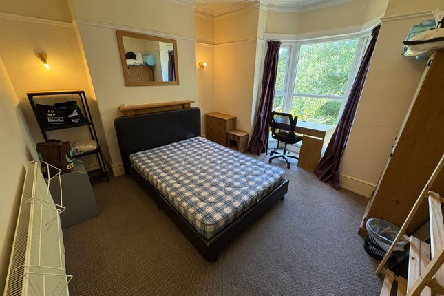 17 Brynmill Terrace, Swansea photo 5