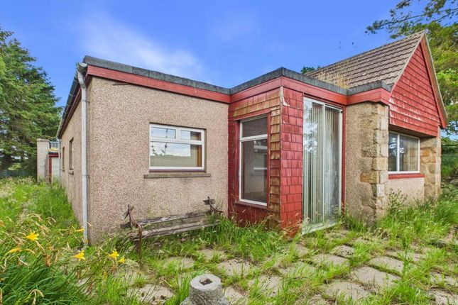 West, Neuk, Ellon photo 3
