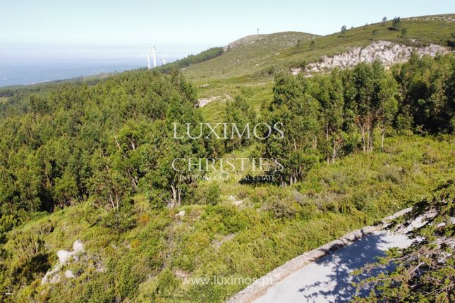 Thumbnail Land for sale in Monchique, 8550, Portugal