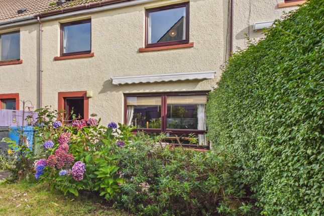 Gordon Terrace, Invergordon photo 2