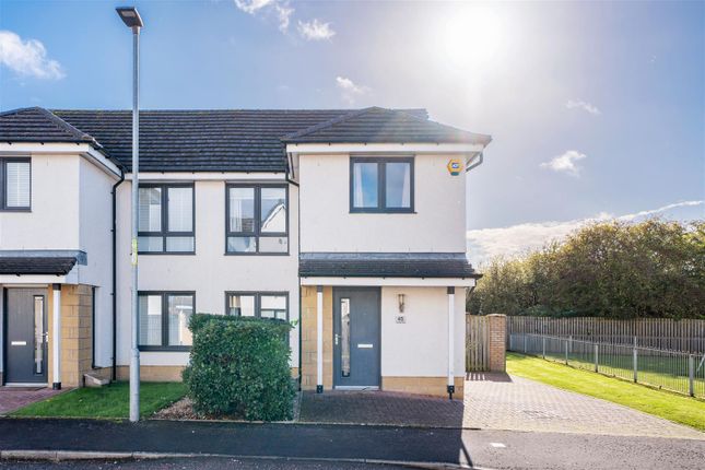Cypress Road, Motherwell photo 2