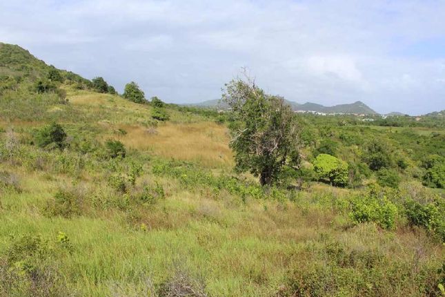 Land for sale in Black Bay, Vieux Fort, Saint Lucia