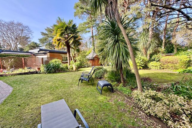 14, Elgin Road, Bournemouth photo 3