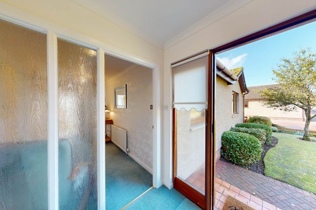 Thumbnail Bungalow for sale in Altamount Road, Blairgowrie