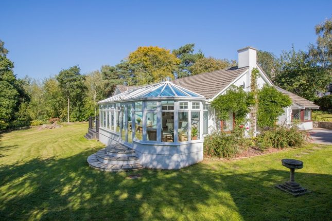 John Couch The Estate Agent Tq1 Property For Sale From John