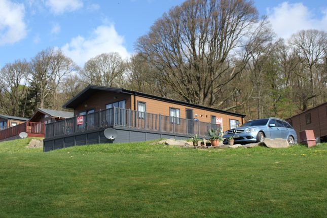 Thumbnail Lodge for sale in Trossachs Holiday Park, Gartmore, Aberfoyle