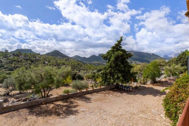 Detached house for sale in Pollença, Pollença, Mallorca