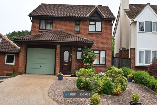 Detached house to rent in Ferndale Close, Honiton