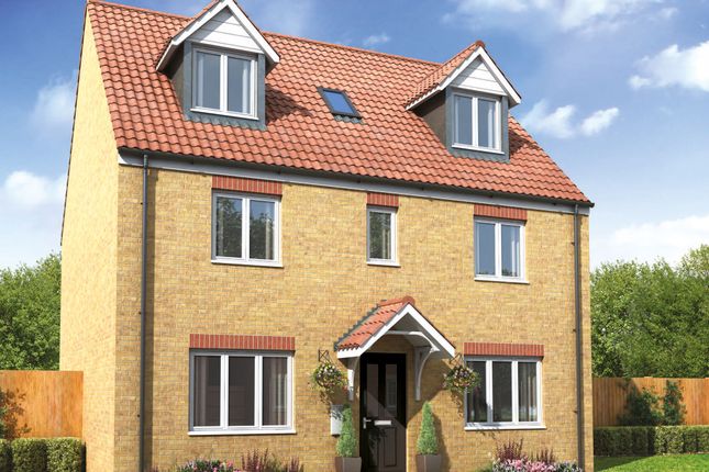Thumbnail Detached house for sale in "The Newton" at Drayton High Road, Hellesdon, Norwich