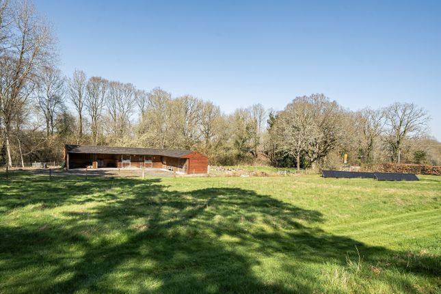 Davos, Blacknest Road, Alton photo 2