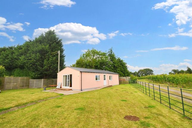 Nutbourne Lane, Pulborough photo 4