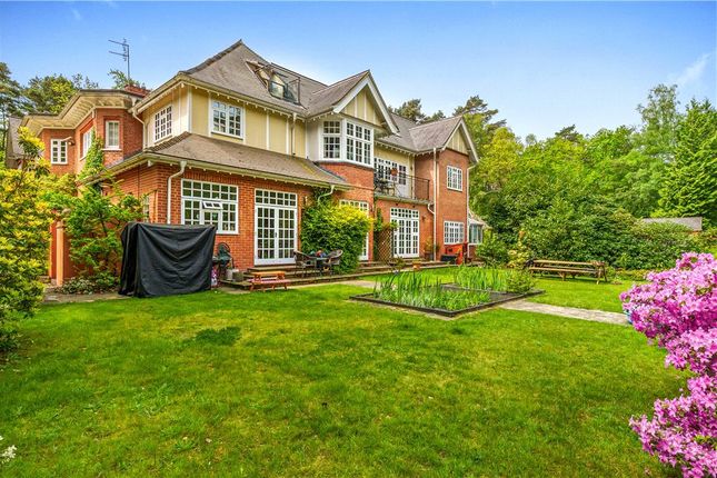 Thumbnail Detached house for sale in Pirbright Road, Guildford, Surrey