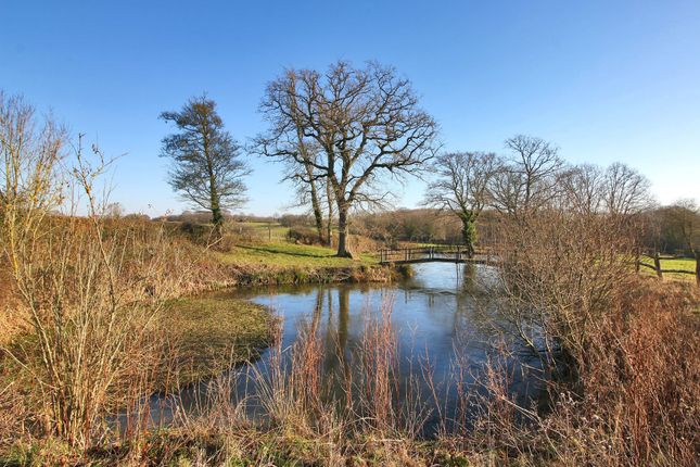 Detached bungalow for sale in Studdens Lane, Trolliloes