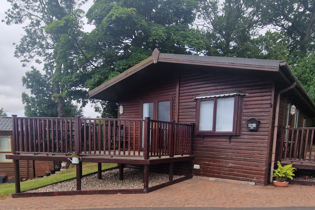 Letham Feus Holiday Park, Cupar Road, Nr Lundin Links photo 5