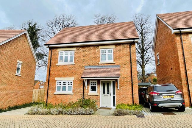 Thumbnail Detached house for sale in Irwin Grove, Basingstoke