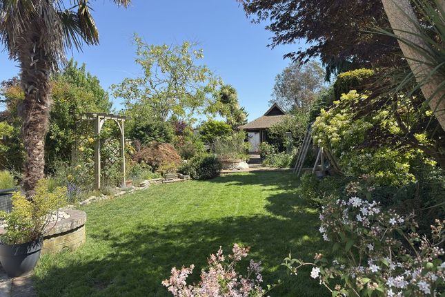 152, Stein Road, Southbourne photo 4