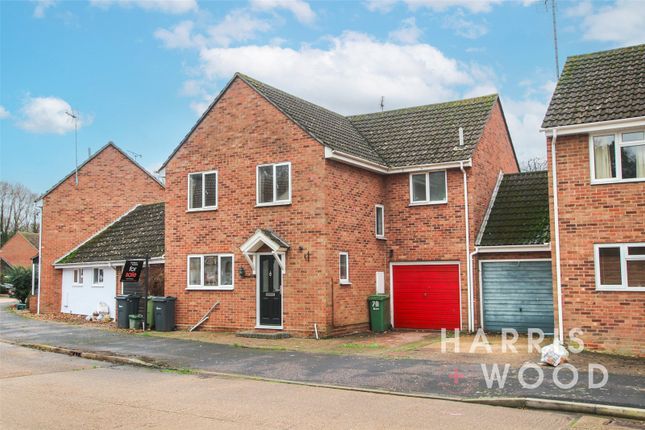 Thumbnail Link-detached house to rent in Barwell Way, Witham, Essex