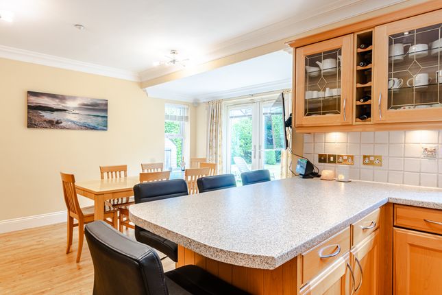 Kitchen6