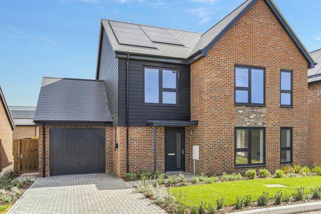 The Noakes, Number 55