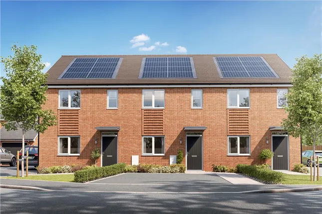 Miller Homes - Blythe Fields