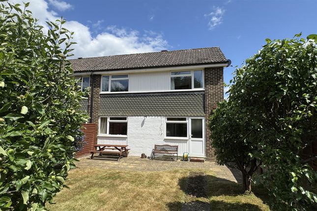 43, Middlemarch, Witley photo 4