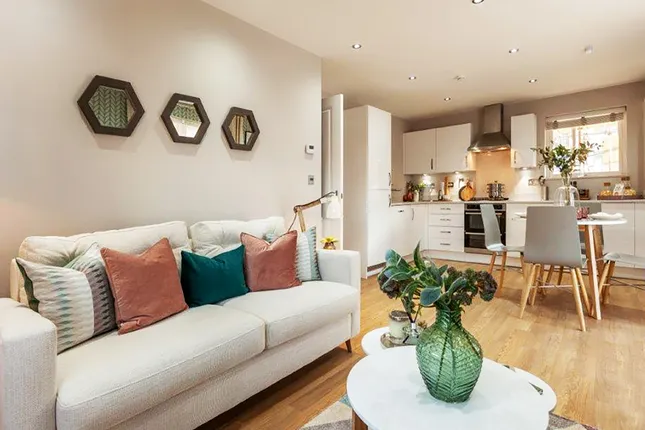 Persimmon Homes - Cranbrook, Galileo