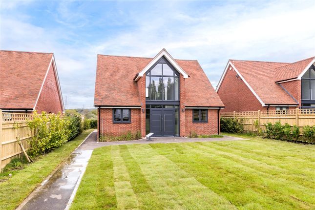 Thumbnail Detached house to rent in Furners Lane, Woodmancote, Henfield, West Sussex