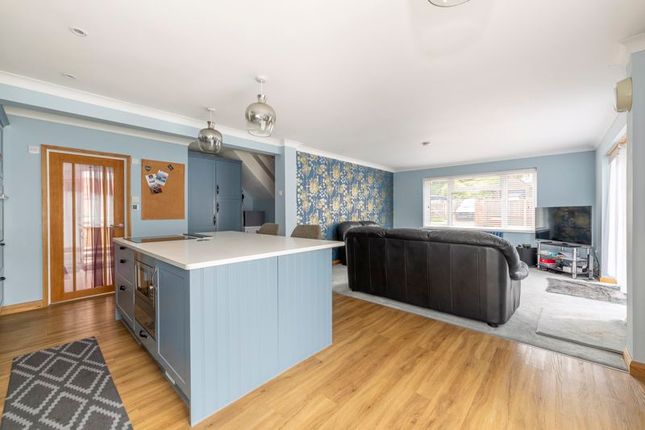 Ben Ross, New Place, Uckfield photo 3