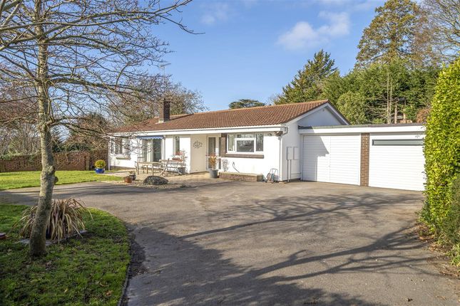 Thumbnail Detached bungalow for sale in South View Orchard, Green Lane, Exton