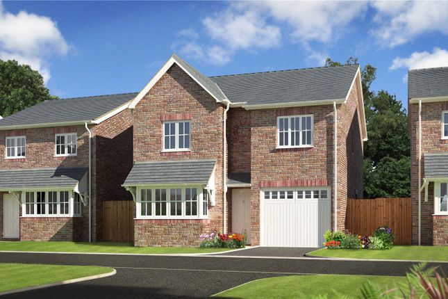 Thumbnail Detached house for sale in Plot 29 Oaks Meadow, Sarn, Newtown, Powys