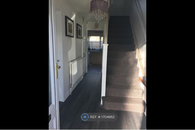 Thumbnail Semi-detached house to rent in Martinmass Close, Nottingham