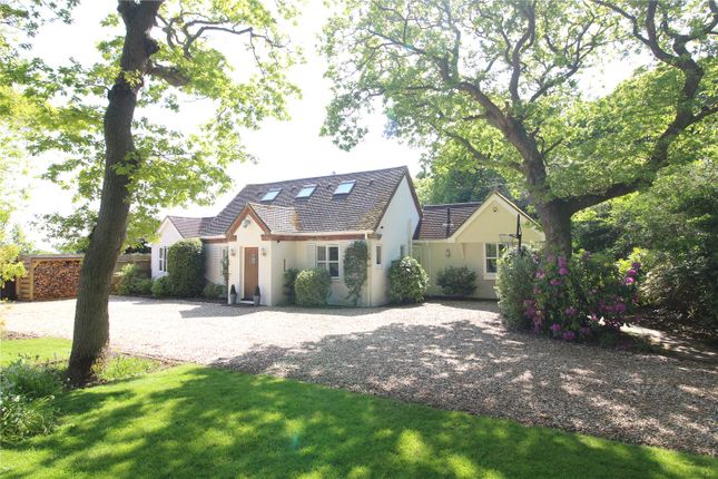 Thumbnail Detached house for sale in Milford Road, Barton On Sea, Hampshire
