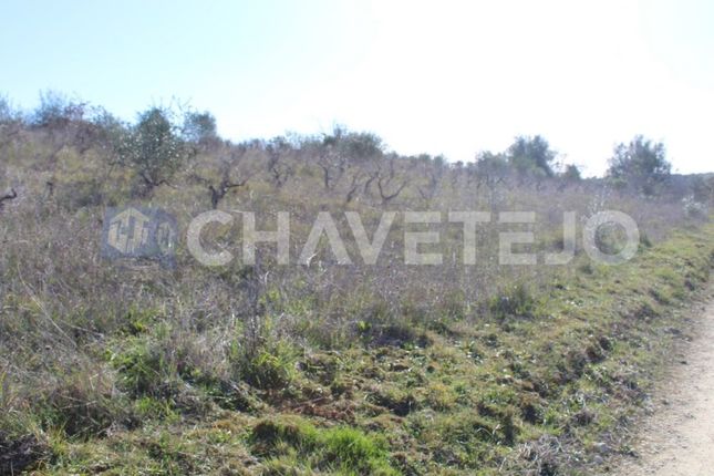 Land for sale in Chãos, Ferreira Do Zêzere, Santarém