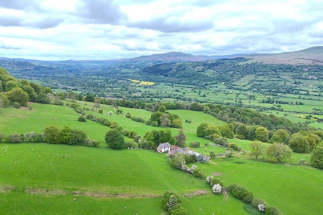 Penygraig, Llanfoist, Abergavenny photo 4
