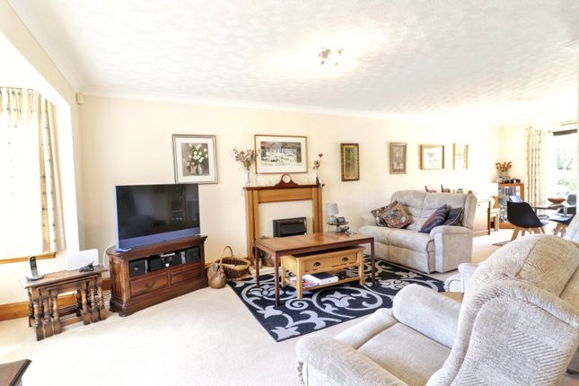 21, Birchwood Road, Dumfries photo 4