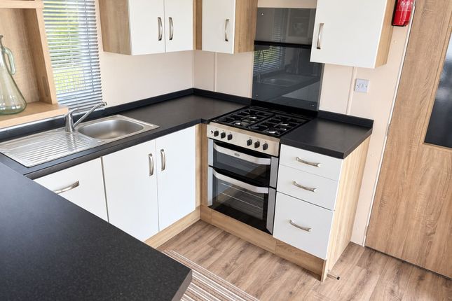 Europa Willow, Marsh Road, Lowestoft photo 3