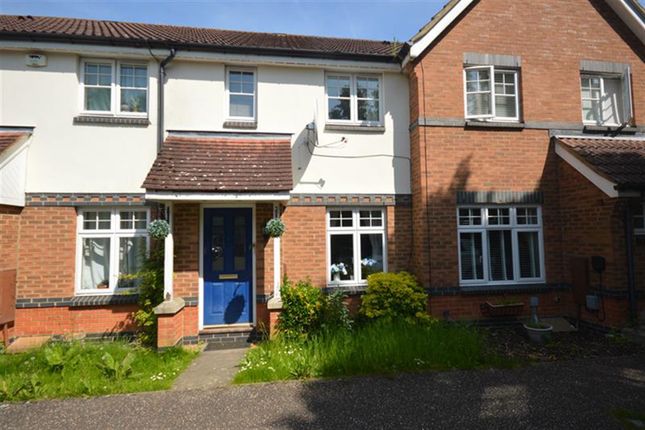 Thumbnail Property to rent in Crabs Croft, Braintree