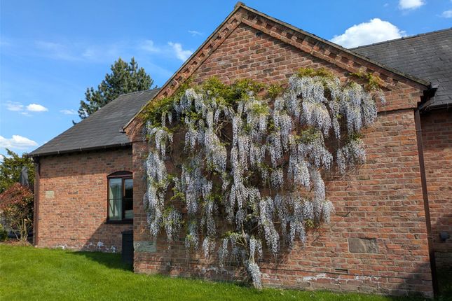 Wisteria