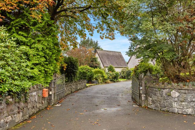 Dromore Road, Ballynahinch photo 4