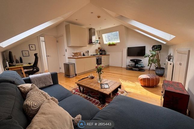 Living Room, Kitchen &amp; Loundry Room