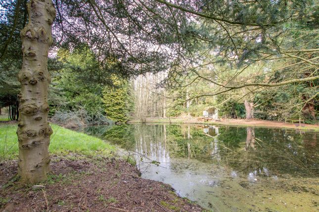 Dover Farm, High Road, Melton Constable photo 4