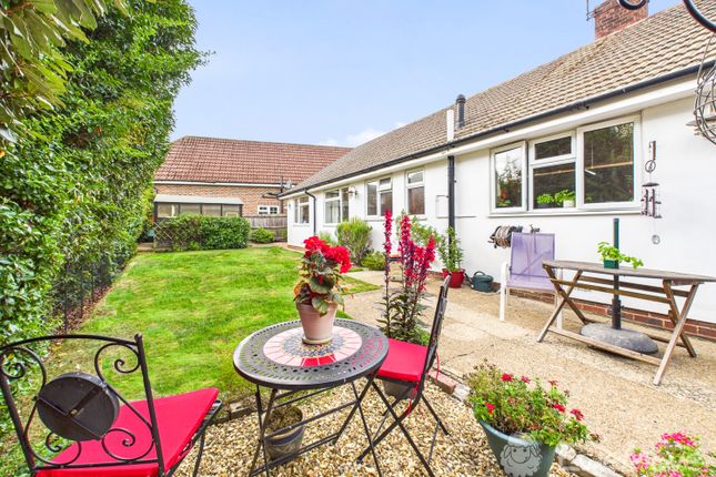 Back Garden