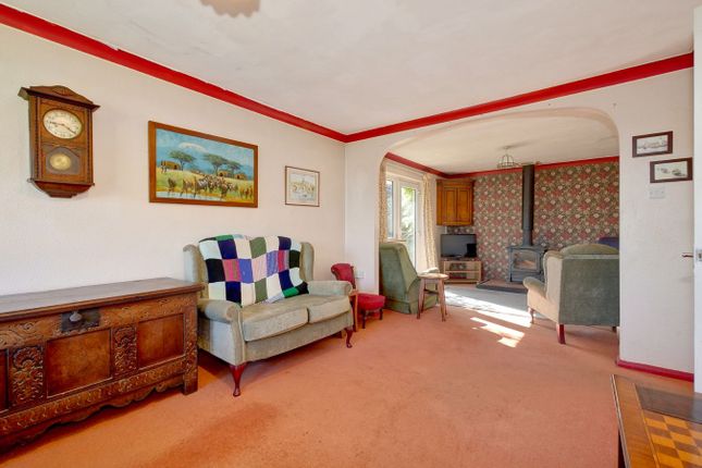Ben Venuto, Joes Lane, Windmill Hill photo 4