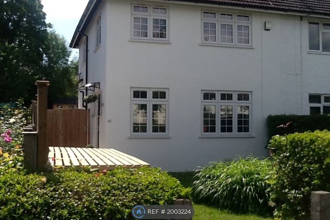 Semi-detached house to rent in Halliwick Road, London