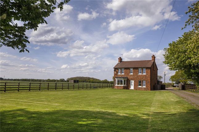 Thumbnail Detached house to rent in Selby Common, Selby