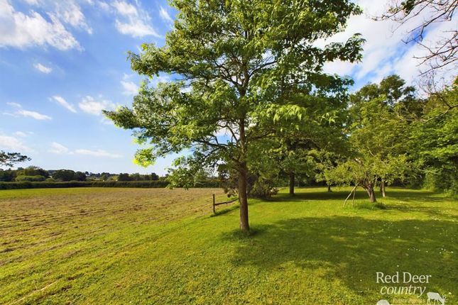 Kingfisher Cottage, Woolston, Taunton photo 2